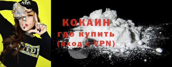 гашик Инта