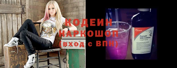 гашик Инта
