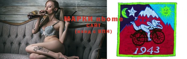 Альфа ПВП Инсар