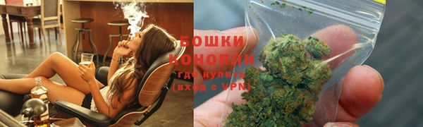 Альфа ПВП Инсар