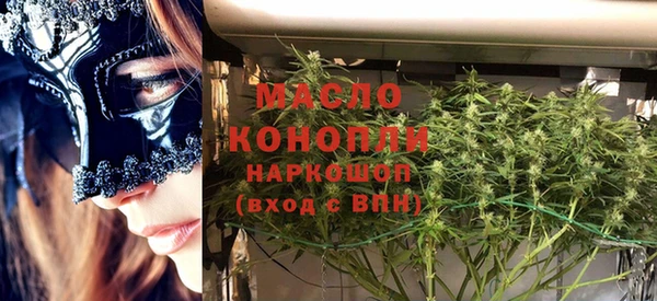 гашик Инта