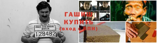 Альфа ПВП Инсар