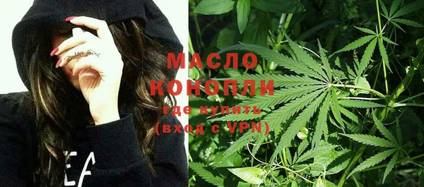 Альфа ПВП Инсар