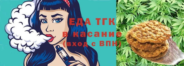 гашик Инта