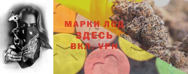 Альфа ПВП Инсар