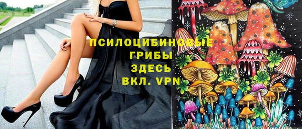 Альфа ПВП Инсар