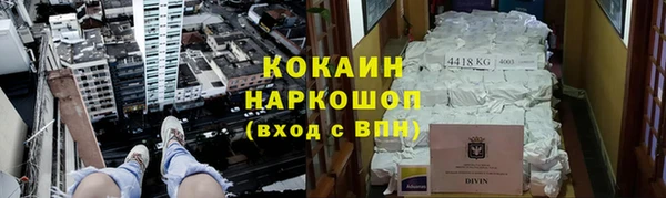Альфа ПВП Инсар