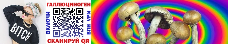 Галлюциногенные грибы Psilocybe  мориарти официальный сайт  Карабаново  где купить наркоту 